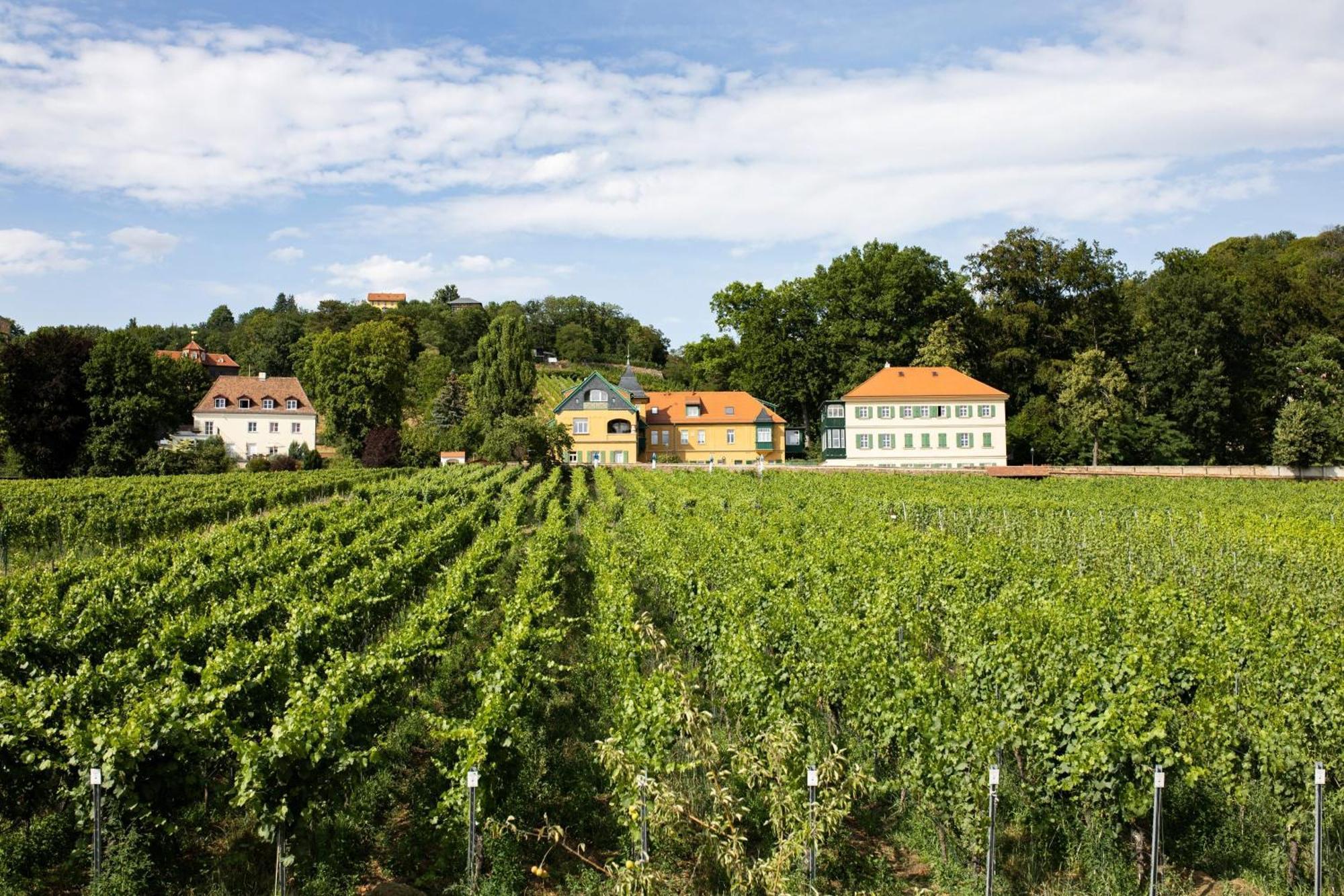 הוילה ראדבול Weingut Haus Steinbach מראה חיצוני תמונה