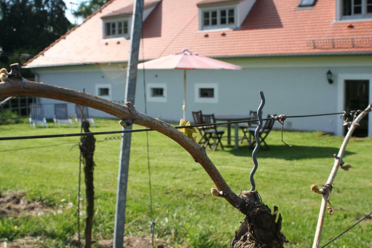 הוילה ראדבול Weingut Haus Steinbach מראה חיצוני תמונה